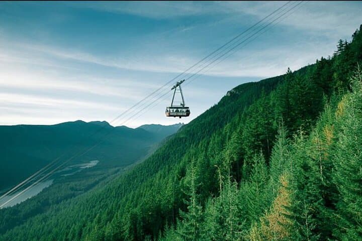 Private Capilano Suspension Bridge and Grouse Mountain Tour from Vancouver photo 3