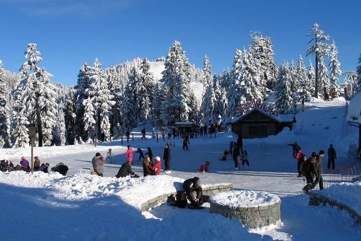 Private Capilano Suspension Bridge and Grouse Mountain Tour from Vancouver photo 4