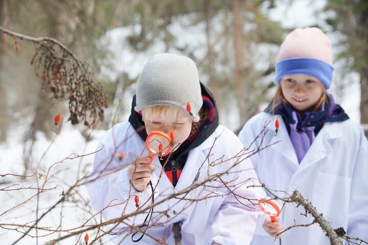 Star Creek Falls Ice Walk: Family Science Hike in Crowsnest Pass photo 4