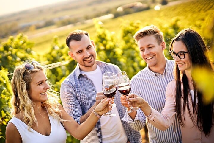 Casablanca Valley Wine Tour: 4 Vineyards & Tanino Lunch