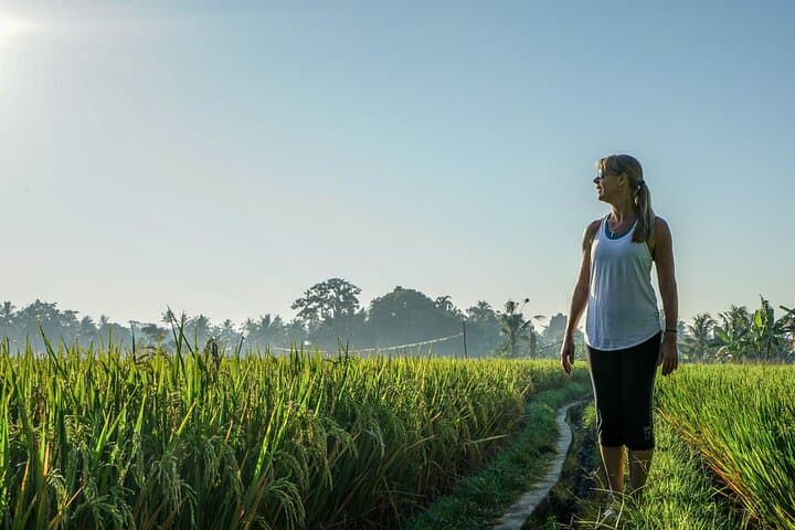 Sidemen Highlights Day Tour: Rice-Field Walks, Waterfalls & Traditional Balinese Life