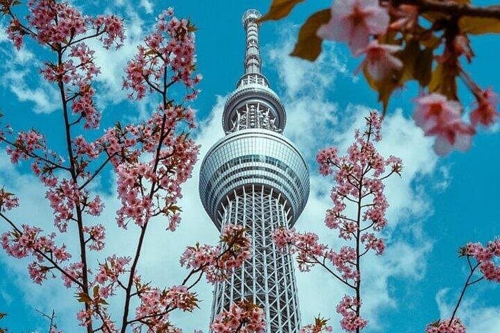 Private Full-Day Tokyo Sightseeing Tour: Tsukiji, Asakusa, Skytree & Shibuya photo 1
