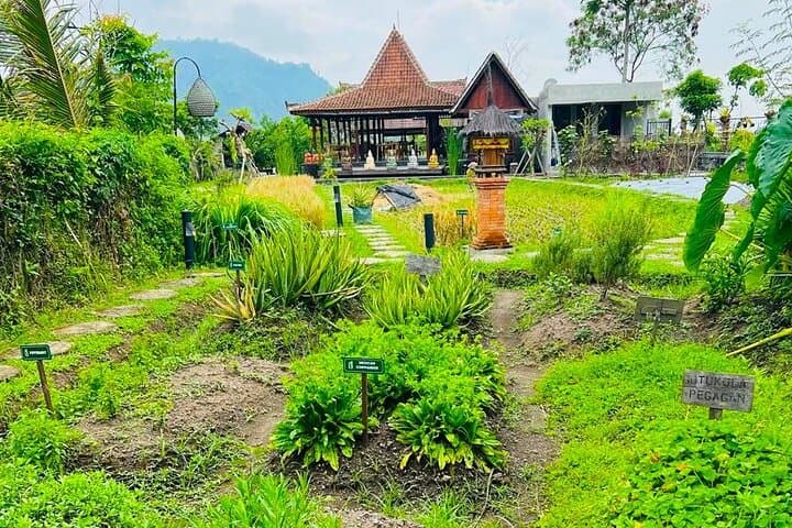 Sidemen Highlights Day Tour: Rice-Field Walks, Waterfalls & Traditional Balinese Life photo 4