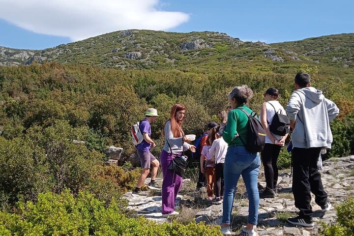 Petralona Cave Natural History Guided Tour — Science-Led Walk in Halkidiki photo 3