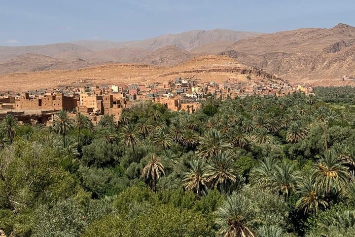 8-Day Morocco Tour: Imperial Cities to Sahara Camel Trek photo 5