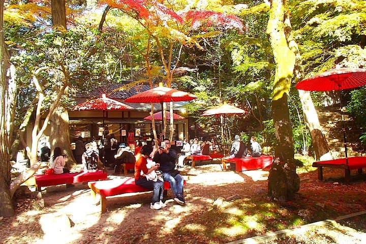 Historic Arima Healing Forest Hike — Private Road Walk from Onsen to Zuihouji Park photo 3