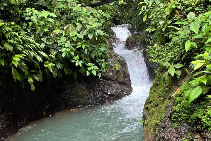 Rainmaker Hanging Bridges Guided Tour — Quepos Rainforest Walk with Waterfall Swim photo 3