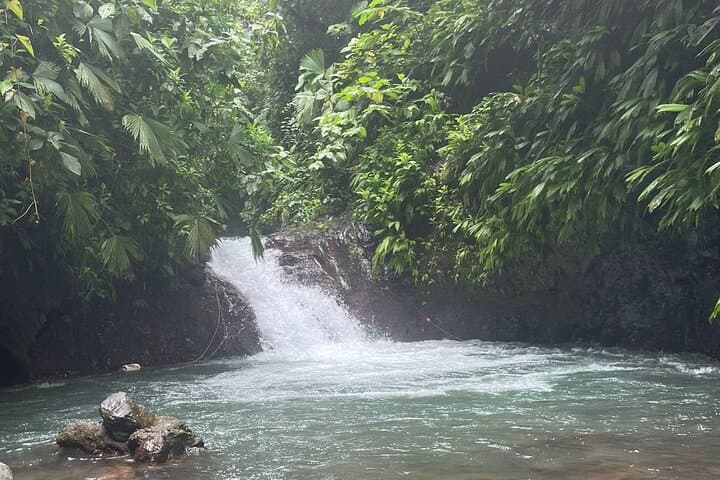 Rainmaker Hanging Bridges Guided Tour — Quepos Rainforest Walk with Waterfall Swim photo 6