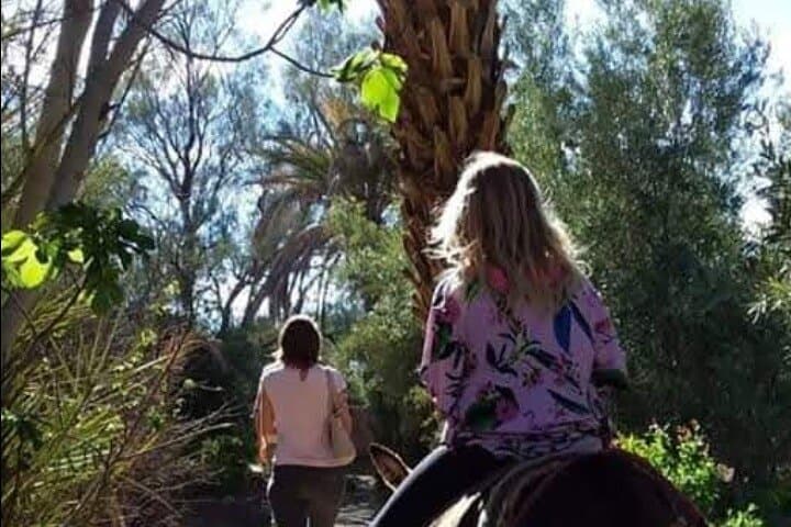 Exploring Skoura Palm Grove: Private Oasis Walk and Kasbahs