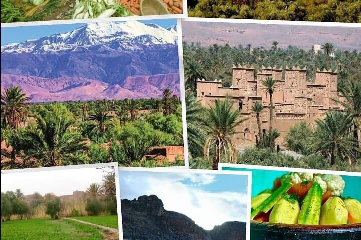 Exploring Skoura Palm Grove: Private Oasis Walk and Kasbahs photo 3