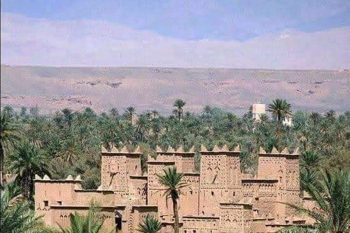 Exploring Skoura Palm Grove: Private Oasis Walk and Kasbahs photo 4