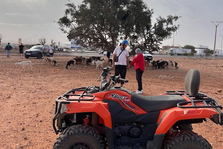 Quad Biking & Goats in Argan Trees: Agadir Desert Adventure photo 2