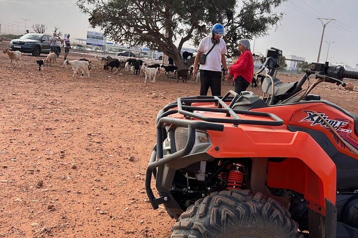 Quad Biking & Goats in Argan Trees: Agadir Desert Adventure photo 5