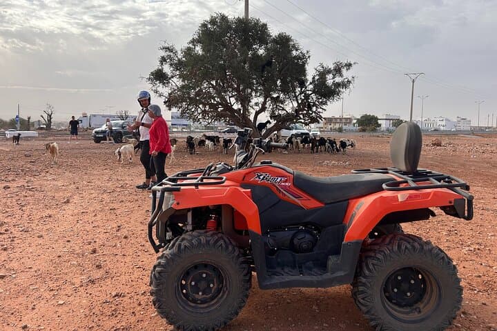 Quad Biking & Goats in Argan Trees: Agadir Desert Adventure photo 6
