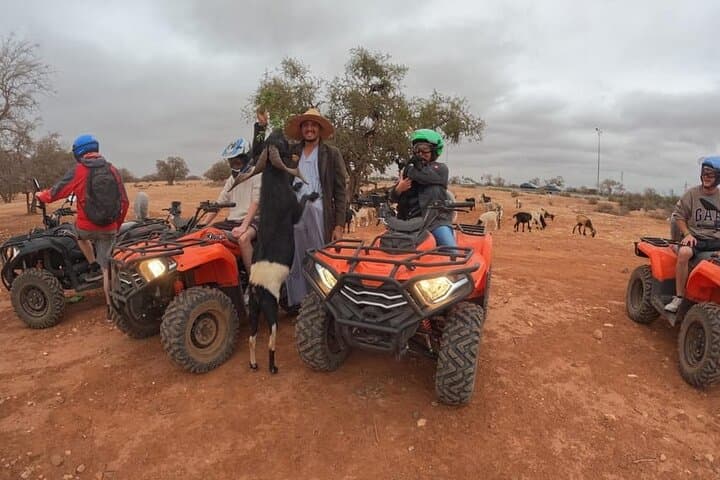 Quad Biking & Goats in Argan Trees: Agadir Desert Adventure photo 3