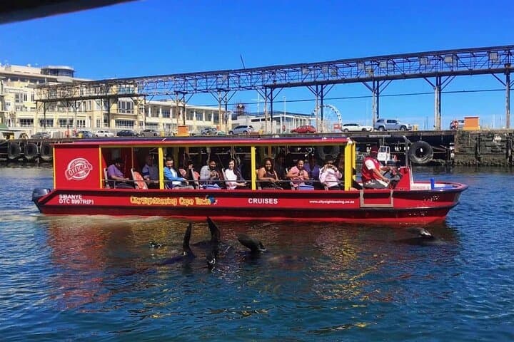 Robben Island Helicopter Overflight + V&A Waterfront Boat Cruise — Scenic Cape Town Flight photo 4