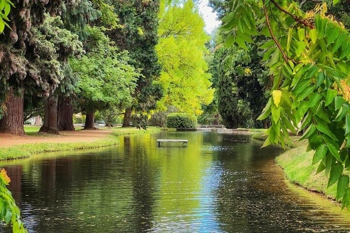 Mt Field National Park & Russell Falls Day Tour from Hobart with Bonorong Wildlife