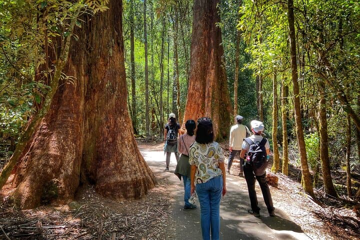 Mt Field National Park & Russell Falls Day Tour from Hobart with Bonorong Wildlife photo 3