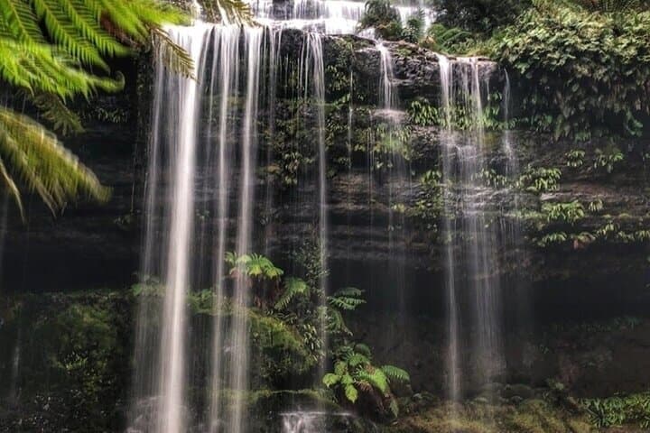 Mt Field National Park & Russell Falls Day Tour from Hobart with Bonorong Wildlife photo 4