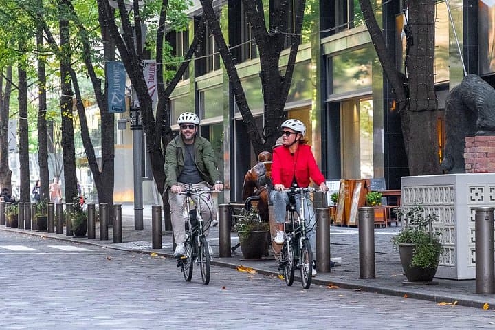 Tokyo Private E-Bike Tour from Your Hotel — 3-Hour Guided City Ride photo 1