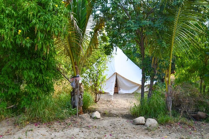 San Dionisio Glamp Camp: Sierra de la Laguna Ranch Retreat from La Paz photo 4