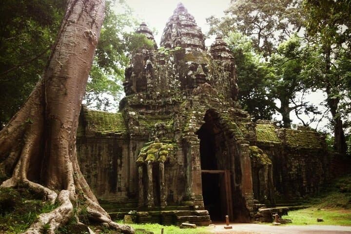 Full-Day Angkor Wat & Small-Circuit Temples — Banteay Srei, Ta Prohm & Angkor Thom photo 2