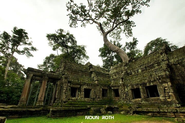 Full-Day Angkor Wat & Small-Circuit Temples — Banteay Srei, Ta Prohm & Angkor Thom photo 5