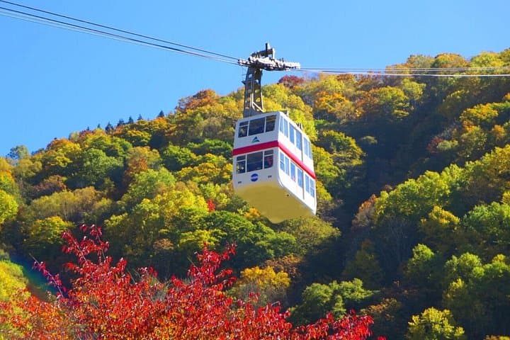 Shinhotaka Ropeway and Kamikochi: Private Day Trip into the Northern Japan Alps photo 4