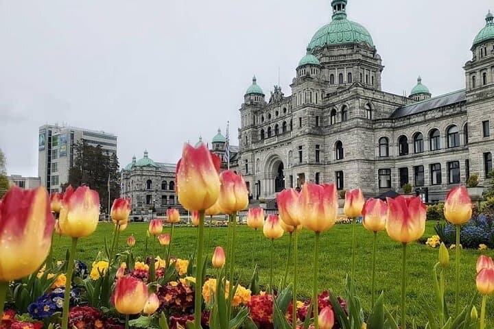 Private Victoria Pre- and Post-Cruise Sightseeing Tour — Inner Harbour, Gardens & Historic Sites photo 3