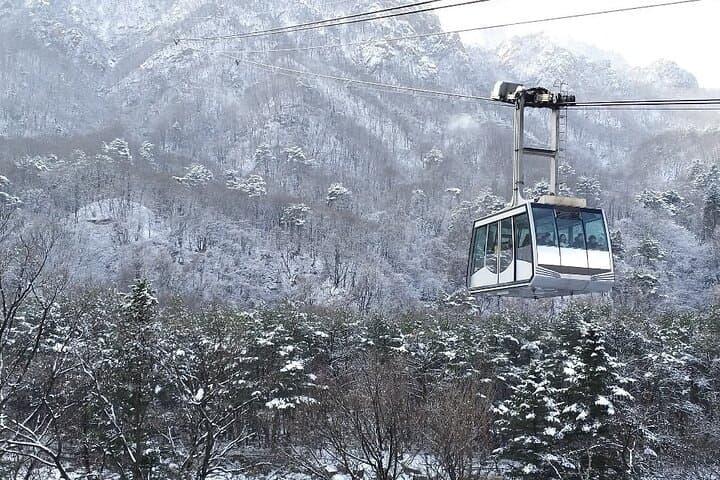 Seorak, Nami Island & Eobi Ice Valley: Winter Day Tour from Seoul