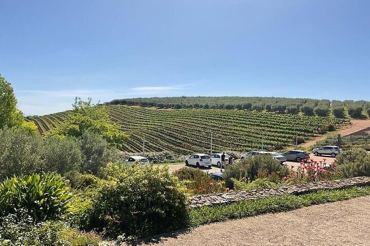 Full-Day Cape Winelands Tour: Stellenbosch, Franschhoek & Paarl photo 4