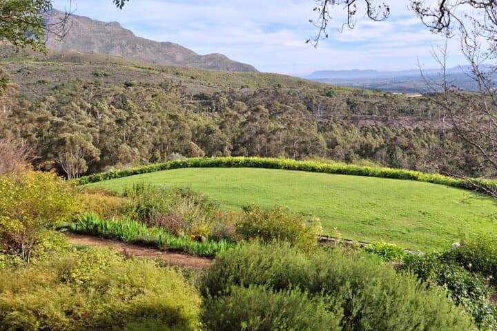 Full-Day Cape Winelands Tour: Stellenbosch, Franschhoek & Paarl photo 5