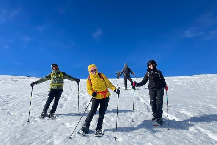 Guided Snowshoeing in the Belluno Dolomites — Daily Trips from Belluno & Cortina photo 4