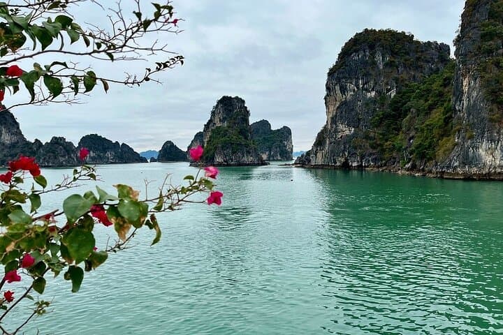 Bai Tu Long Bay Day Cruise from Hanoi — La Muse Off-the-Beaten-Path photo 4