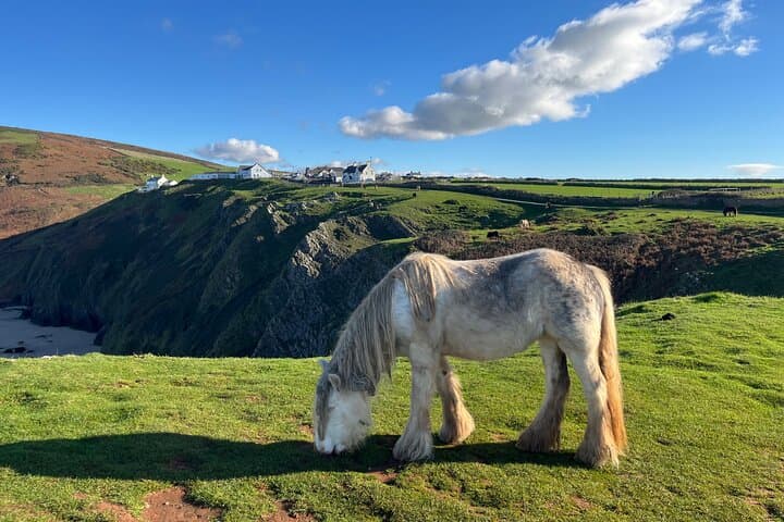 Private Gower Cliffs & Beaches Day Tour from Cardiff — Rhossili, Mumbles & Langland