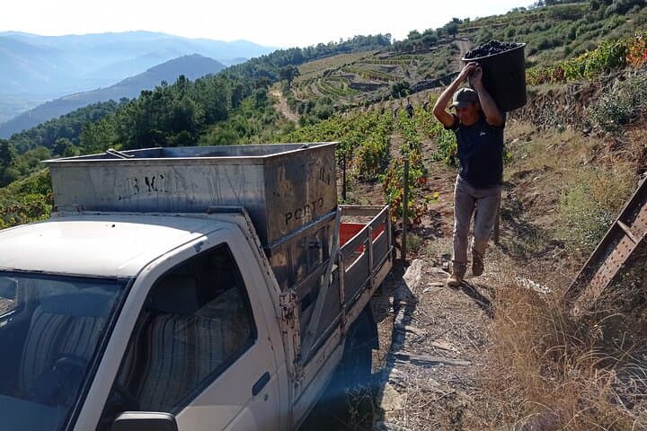 Douro Rabelo Boat Cruise, Quinta Wine Tasting & Lunch in Pinhão photo 4