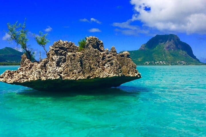 Mauritius Dolphin Swim and Whale-Watching Day Trip from West Coast photo 2