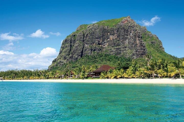 Mauritius Dolphin Swim and Whale-Watching Day Trip from West Coast photo 6