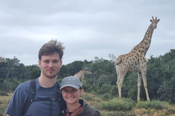 Schotia Game Reserve Full-Day Safari and Giraffe Walk from Port Elizabeth photo 2