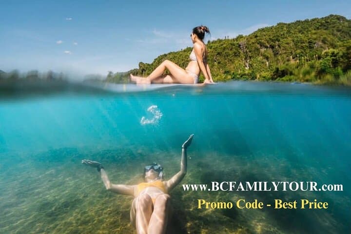 Full-Day Phong Nha & Paradise Cave Tour from Dong Hoi photo 5