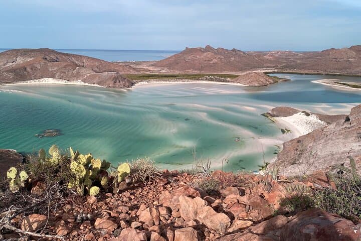 Private Balandra Beach Experience from La Paz — Snorkel Sea Lions & Beach Ceviche photo 2