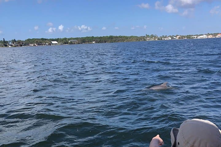 Private Dolphin Catamaran Sail in Cocoa Beach: Thousand Islands Wildlife Cruise photo 3