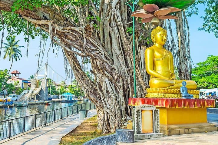 Colombo Private City Tour: Best Things to See in Colombo, Sri Lanka photo 1