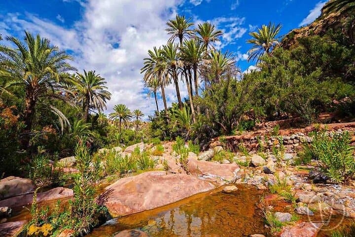 Half-Day Paradise Valley Trip from Agadir — Swim, Hike & Berber Lunch photo 3