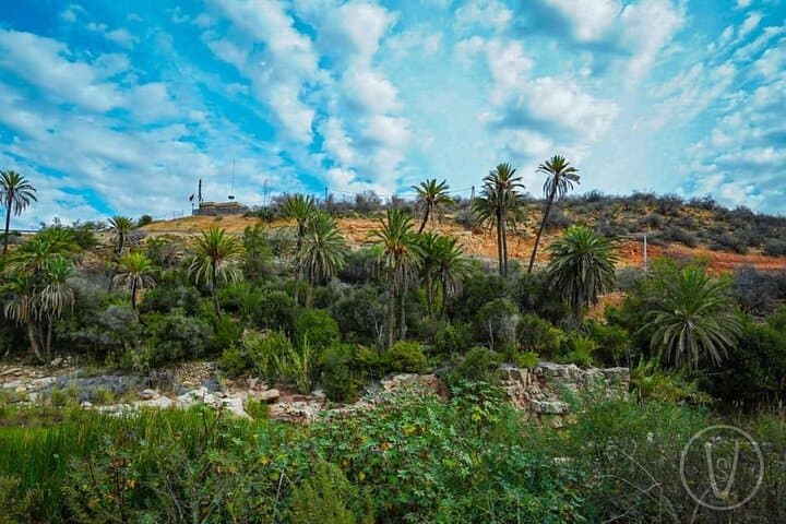 Half-Day Paradise Valley Trip from Agadir — Swim, Hike & Berber Lunch photo 4