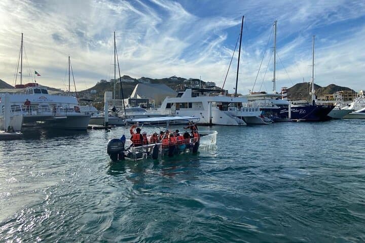 Glass-Bottom Boat to El Arco: Shared Tour in Cabo San Lucas photo 6