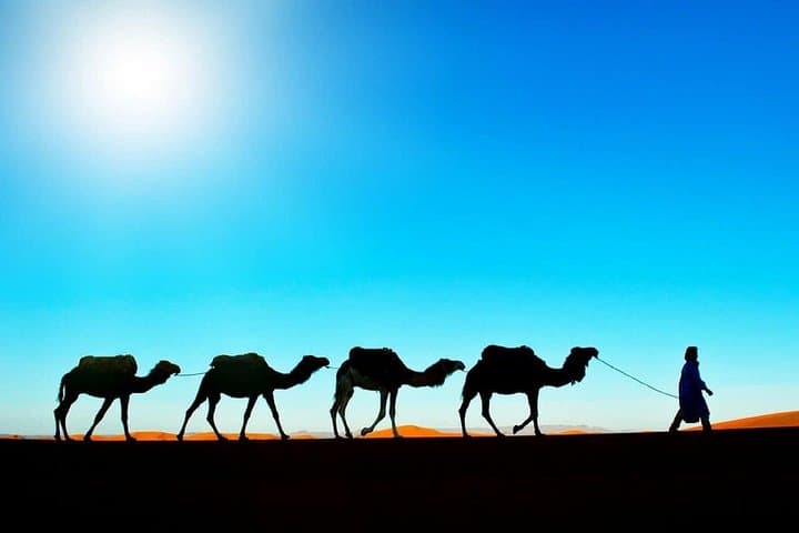 5-Day Private Desert Tour from Marrakech to Agadir — Kasbahs, Dades & Erg Chebbi Camp photo 2
