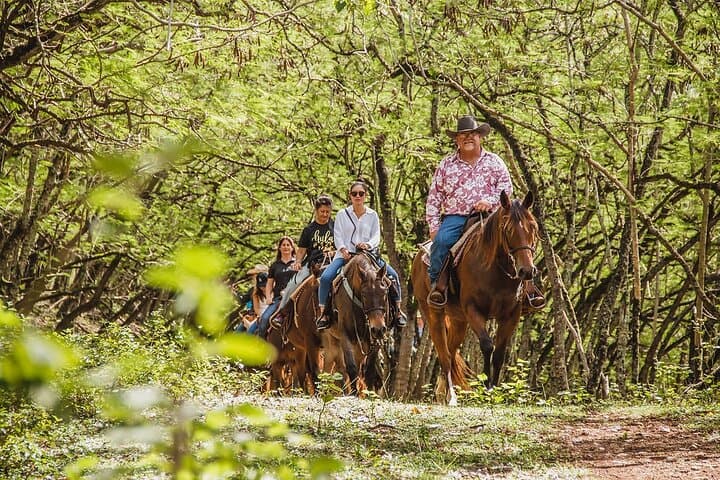 Paniolo Horseback Ride in Kahuku: 90-Min North Shore Ranch Tour photo 4