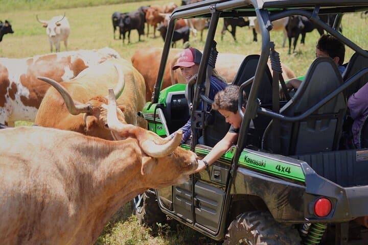 Private Off-Road Explorer's Tour at Gunstock Ranch — North Shore Oahu Off-Roading photo 3