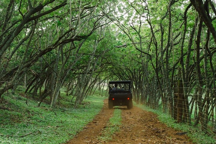 Private Off-Road Explorer's Tour at Gunstock Ranch — North Shore Oahu Off-Roading photo 4